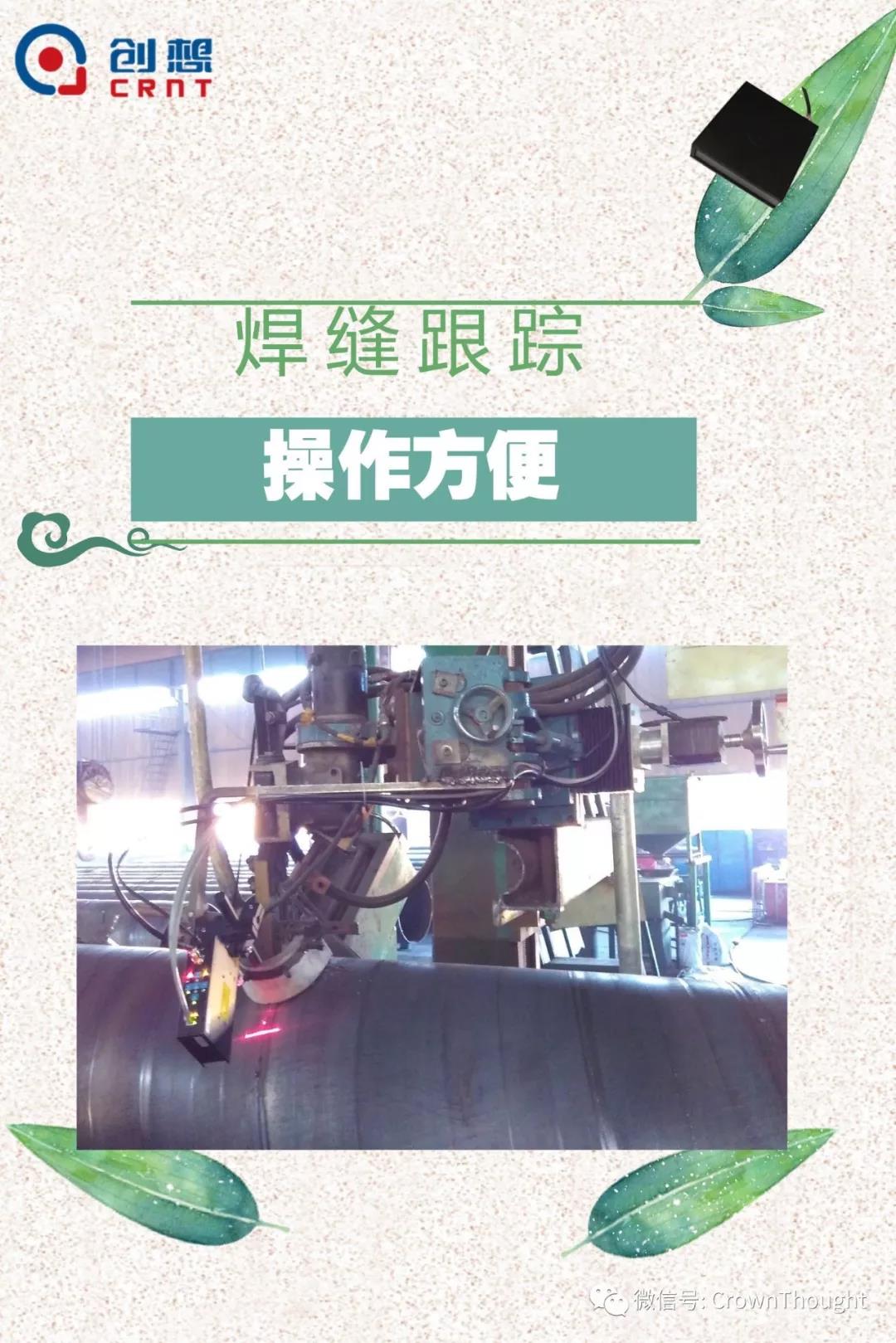 粽叶带来的不仅仅是粽子，还有...