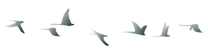 中秋佳节 ▎有态度、有温度， 一份坚守是最诚挚的祝福！